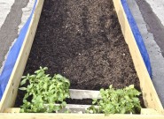 Rooftop-Garden-lokal 3-min